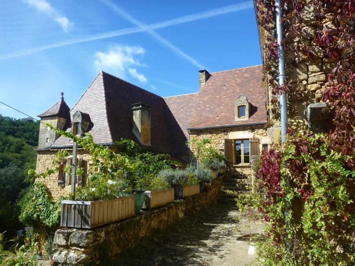 Domaine De Cantegrel - Gites De Charme Et Suite Troglodyte En Perigord Vitrac  Exterior foto